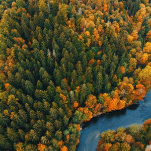 Autumn Forest River Wooden Jigsaw Puzzle