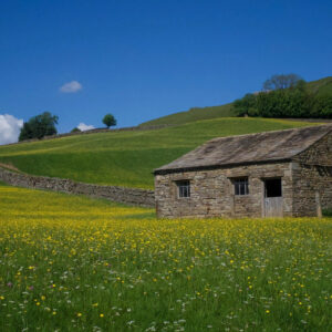 Wildflower Meadow Wooden Jigsaw Puzzle